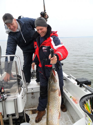 vägning, mätning och fotosession i fiskereportaget nötande ger resultat i fisketidning