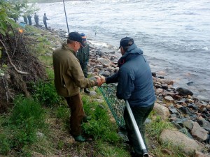 det berömda handslaget i fiskereportage handslaget vid en lyckad håvning i fisketidning