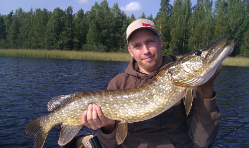 rapala wobbler i där satt den i fiskereportage på fiskemagasinet.se