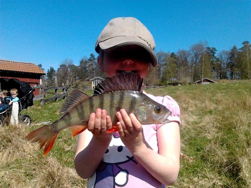 ebba visar vägen vid premiärfisket med en abborre på ca 5 hg i fisketidningen 