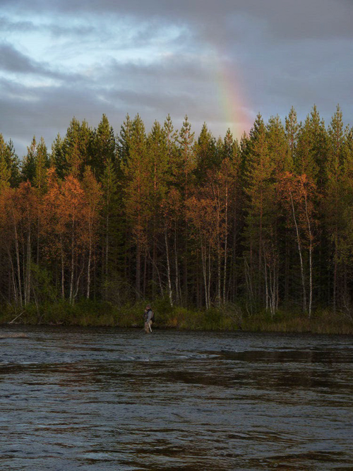 regnbågen som fond i lycka och vemod på fisketidningen