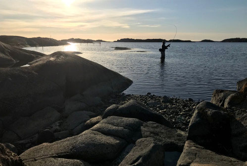 Photos: Gustav Enhol Blomqvist / Sea- and Water Authority.