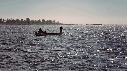 1 Junio, se actualizaron las reglas para la pesca profesional del salmón en el Golfo de Botnia y áreas de agua dulce directamente relacionadas.. Notificación previa de captura, el blanqueo por separado de las trampas y los datos de posición debería reducir el riesgo de que se capture demasiado salmón.